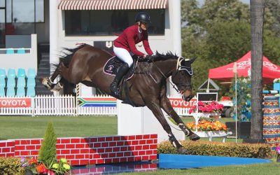 Jessica Kamffer – Show Jumping Athlete